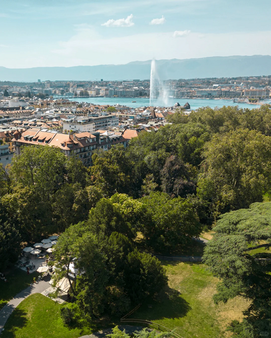 How does the drone fly in Geneva?