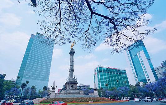 How to Safely Fly a Drone in Mexico